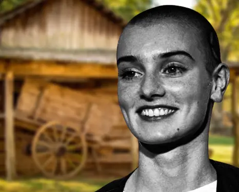 Sängerin Sinead O Connor Todesursache